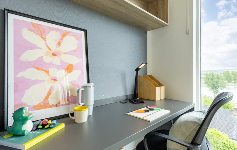 Standard Plus En Suite, Ashlin House, Bandon Road Cork, University College Cork, Cork - Image 1